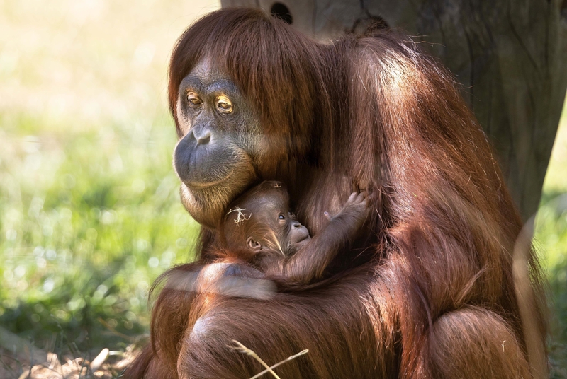 That Karen Look | Alamy Stock Photo by Dieter Menne/dpa picture alliance/Alamy Live News