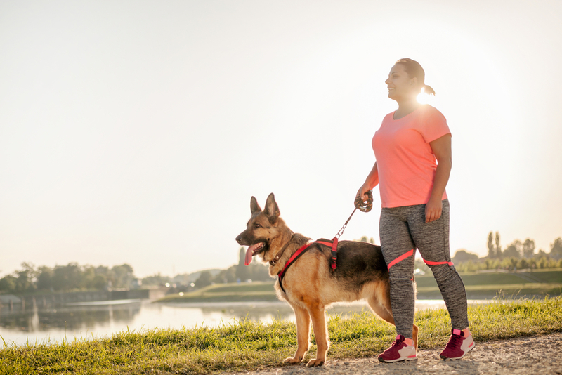 Walking Your Dog on a Hot Summer’s Day? Use These Tips to Keep It Cool | Shutterstock