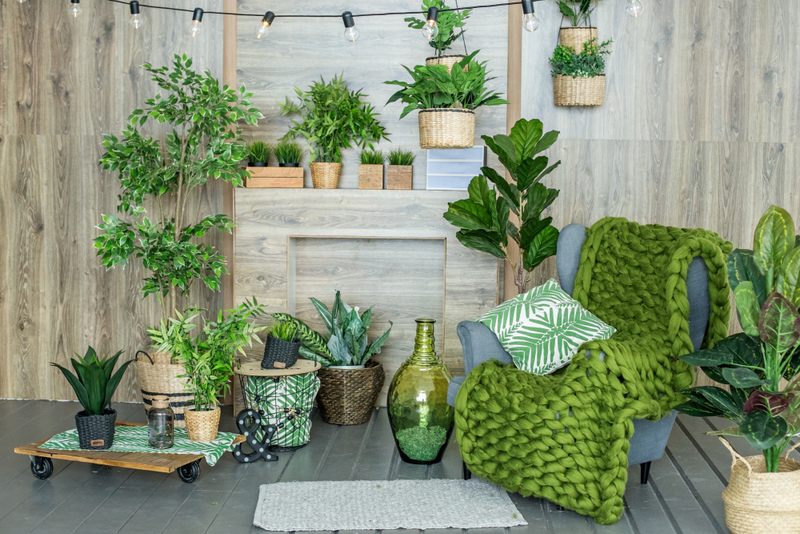 Having House Plants Will Change Your Life – Here’s How | Shutterstock