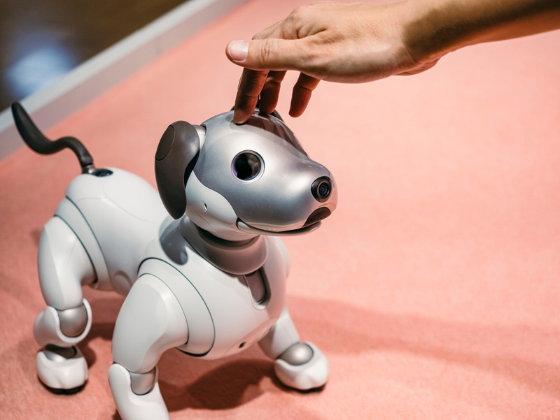 The Age of AIBO | Shutterstock Editorial Photo By VTT Studio