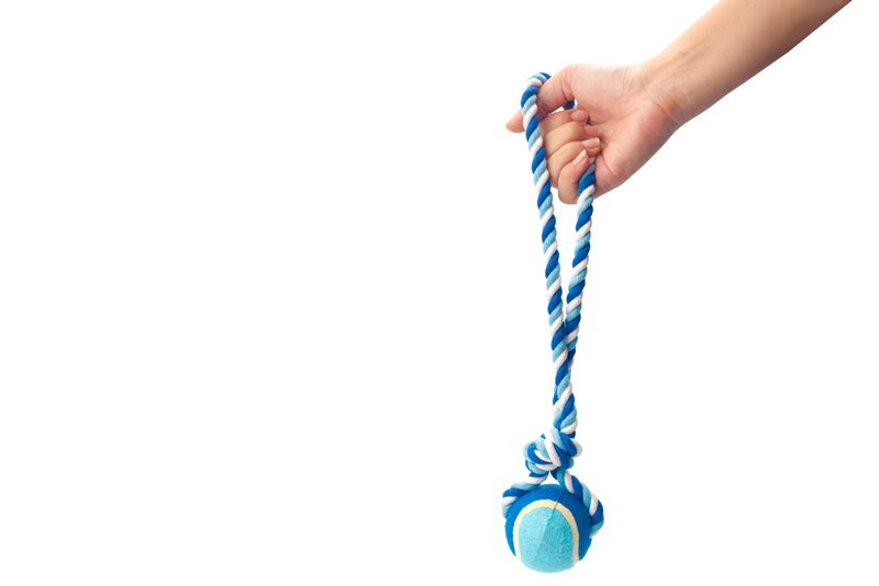Ball Tug Toy | Shutterstock
