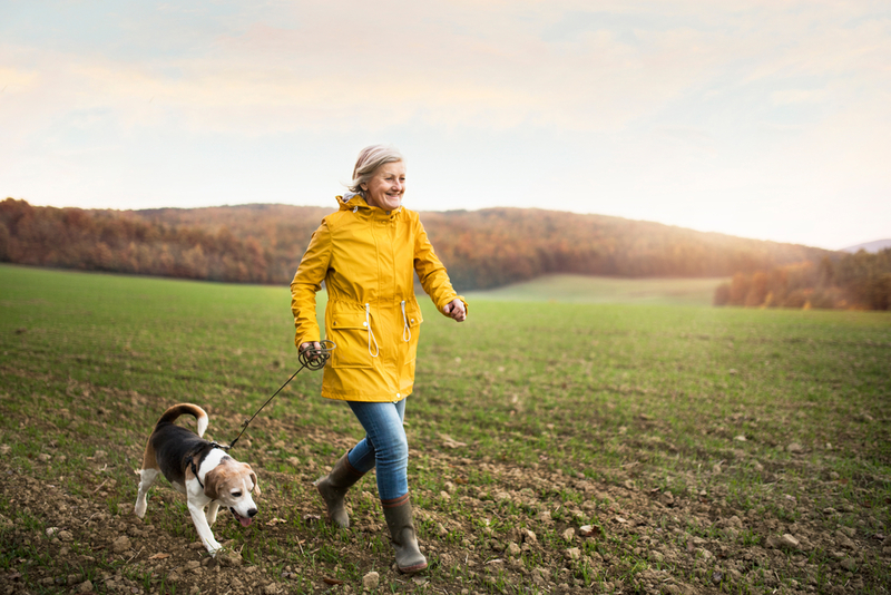 Pets Can Improve Older People’s Mental & Physical Health | Shutterstock
