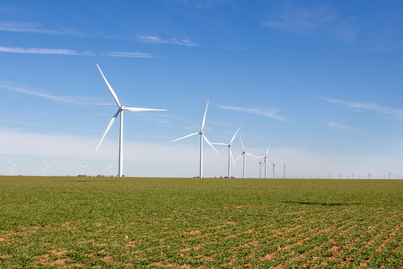 The Wind In the Willows | cazfoto/Shutterstock