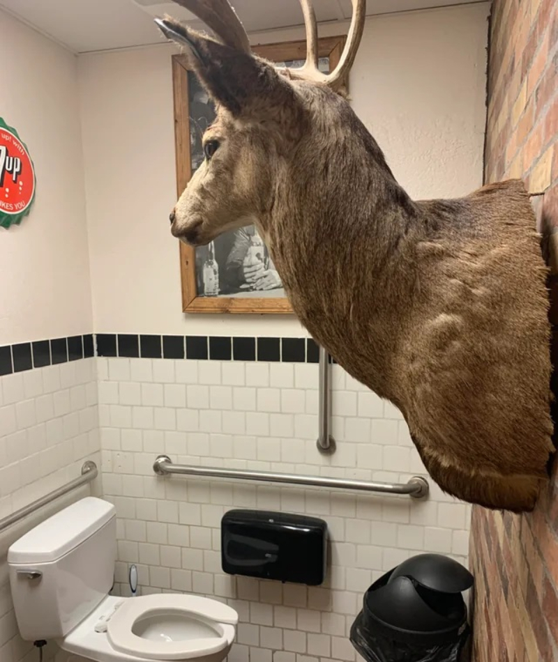 Oh Deer | Reddit.com/EDudeman