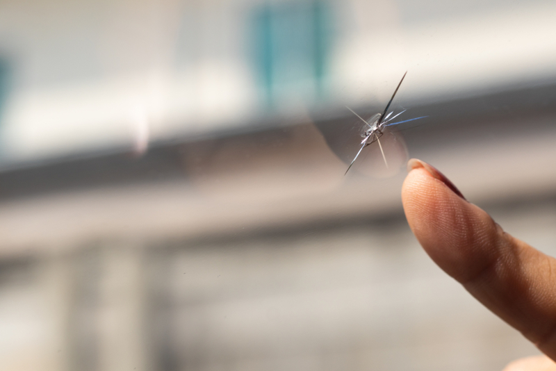 Patch Up Windowscreen Holes With Nail Polish | Shutterstock