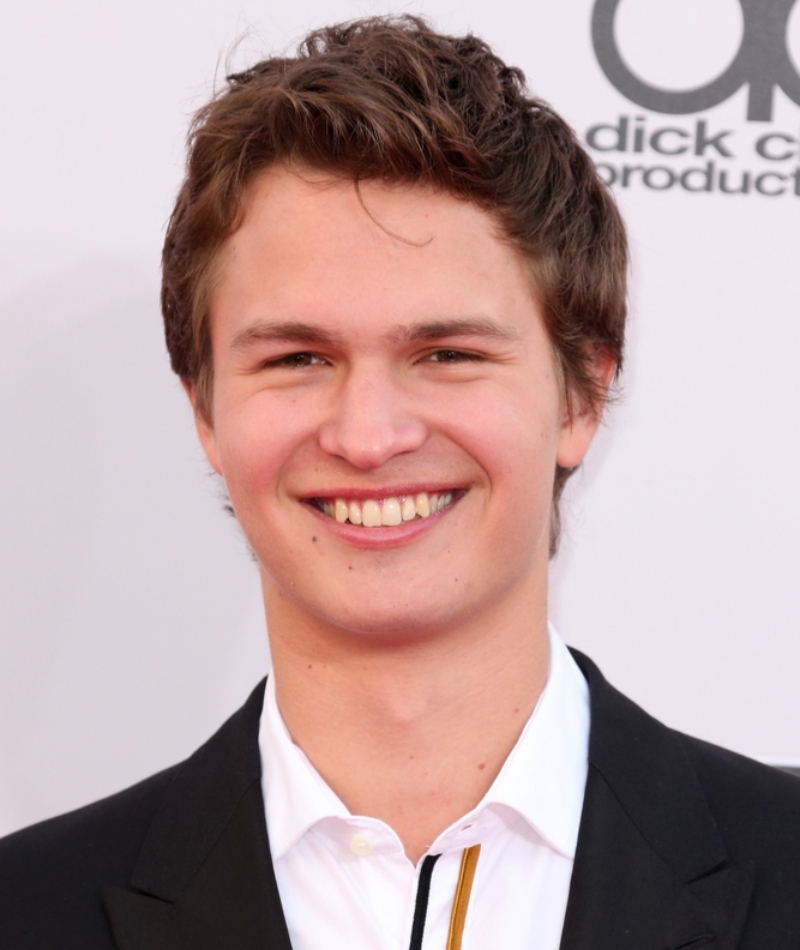 Ansel Elgort – $500,000 | Kathy Hutchins/Shutterstock