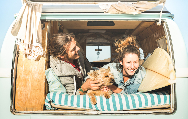 The Best Way to Go Camping With Your Dog | View Apart/Shutterstock